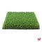 Kunstgras - Kunstgras, Evergreen 200cm 40 mm - AGN Grass