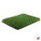 Kunstgras - Kunstgras, Evergreen 200cm 40 mm - AGN Grass