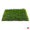 Kunstgras - Kunstgras, Spiny 200cm 38 mm - AGN Grass